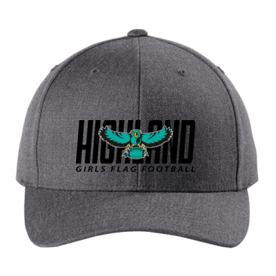 YP Classics Curved Bill Snapback Cap - Black Logo Thumbnail